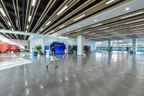 相約湖北 夢幻靈境AI展演中心即將開館，共探網(wǎng)絡技術開發(fā)新前沿